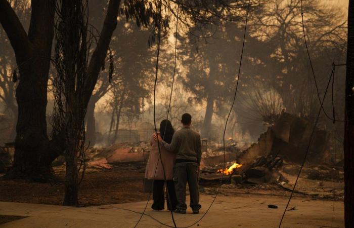 Découvrez comment les incendies de Los Angeles ont détruit les quartiers