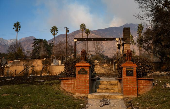 Faire à nouveau état des incendies de forêt à travers le chagrin, la communauté et le scepticisme