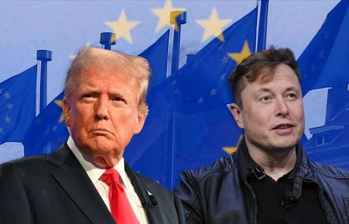 L’ingérence de Trump et Musk dans la politique européenne menace l’ordre démocratique libéral, selon un expert