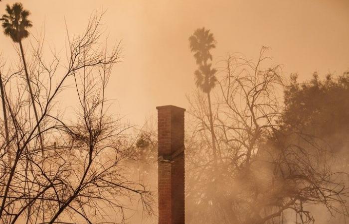 Découvrez comment les incendies de Los Angeles ont détruit les quartiers