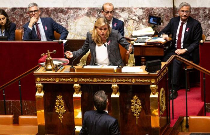 la fièvre s’est emparée de l’Assemblée nationale – Libération