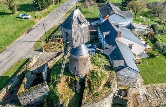 Quel moulin du Maine-et-Loire bénéficiera d’une subvention de 20 000 € ?