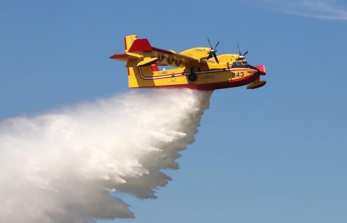 Sommes-nous bien préparés aux incendies de forêt ?