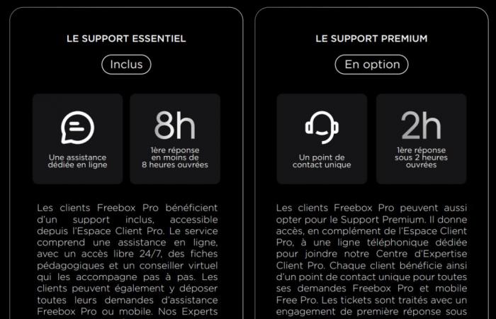 Free lance sa nouvelle Freebox Pro : symétrique 8 Gb/s, toujours à 49,99 euros HT par mois