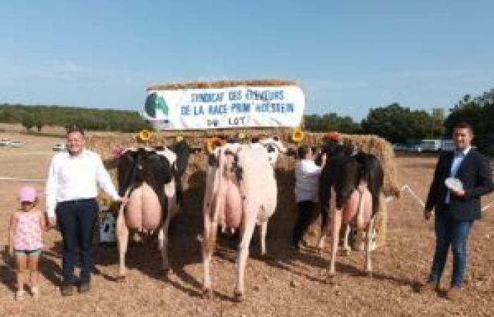 Palmarès du concours départemental du Lot 2024