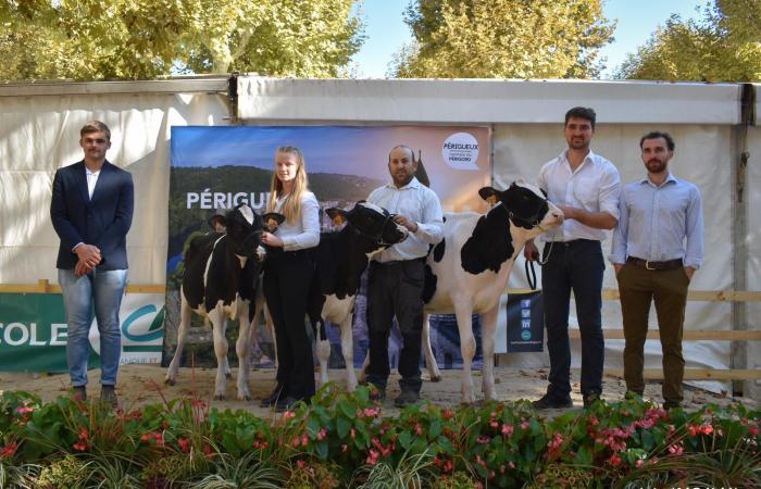 Lauréats du concours départemental Dordogne 2024