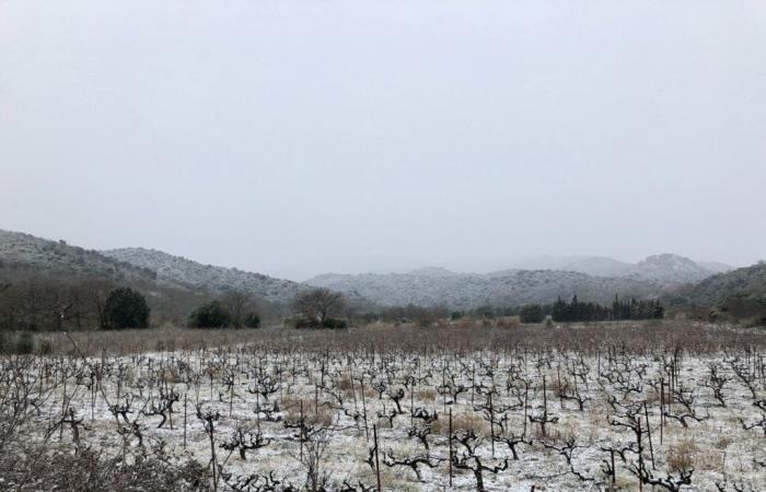 « Un retour de l’Est » annoncé, pluie et neige espérées dans les Pyrénées-Orientales