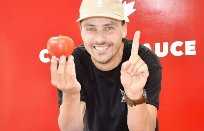 Près de 2 millions de dollars perdus dans l’aventure du ketchup québécois