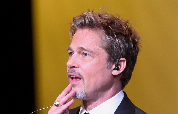 TF1 retire le reportage sur une femme arnaquée par un faux Brad Pitt