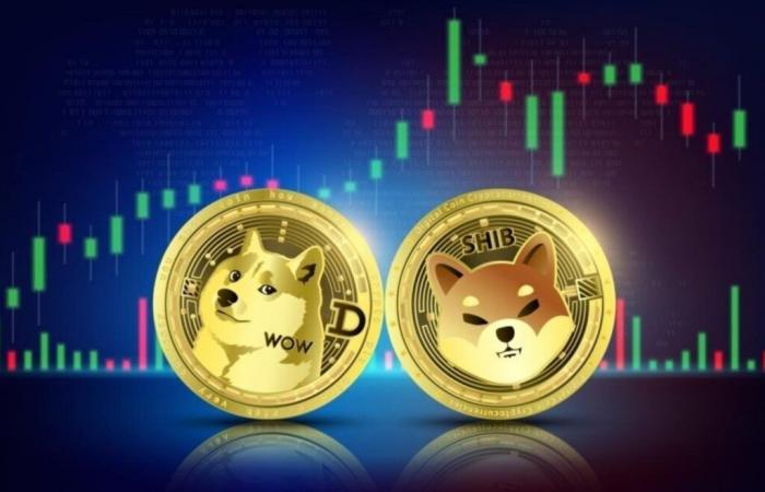 Dogecoin en hausse de 10 %, Shiba Inu gagne 6 % : Qu’est-ce qui alimente cette envolée ?