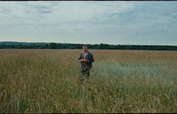 une leçon de choses poétique dans le paysage normand