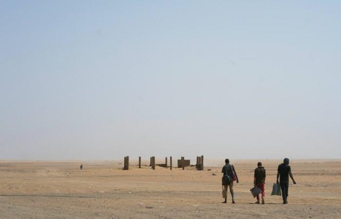 Une ONG dénonce le traitement « violent » voire « meurtrier » réservé aux migrants par l’Algérie