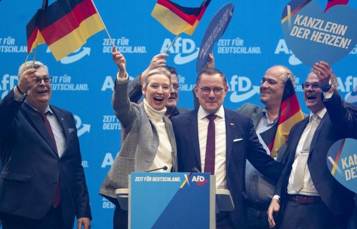 L’AfD prend-elle en otage les élections législatives en Allemagne ?