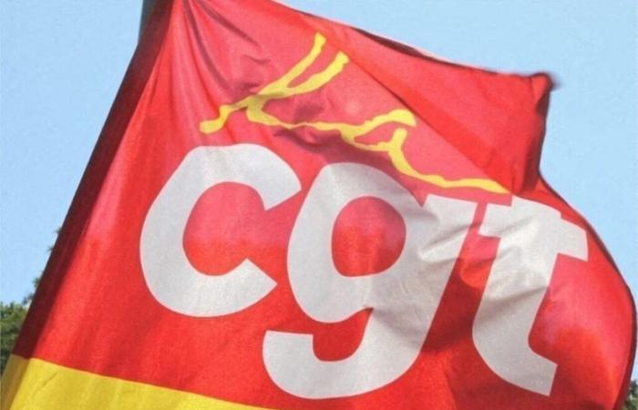 Le secrétaire général de la CGT en Seine-Saint-Denis arrêté lors d’une manifestation