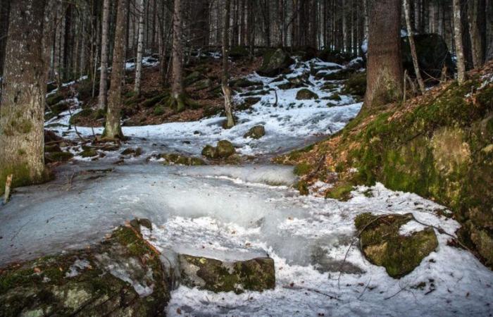 Recherche du SRF sur les coûts d’assainissement dus à la pollution par les PFAS