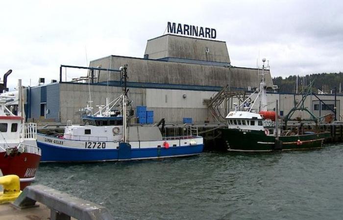 Acheter des produits marins à l’étranger et transformer d’autres espèces pour survivre