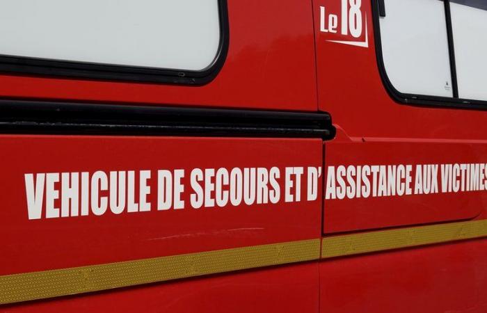 Les pompiers du Gard secourent un ouvrier blessé dans un tunnelier à Nîmes