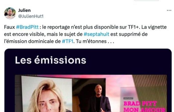 Arnaquée par un faux Brad Pitt, qui lui a pris… 830 000 €, elle est devenue la risée de la toile