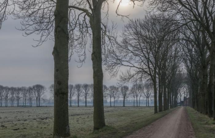 Semaine froide, grise et brumeuse à venir