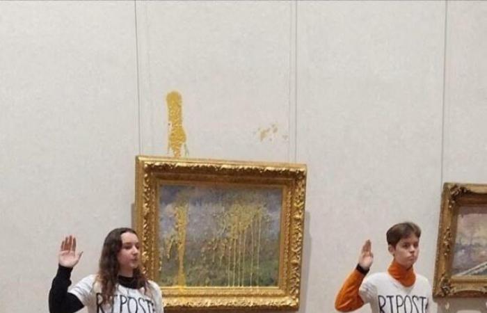 Lyon. Jeter de la soupe sur un tableau de Monet : des militants écologistes condamnés