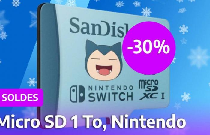 La Nintendo Switch 2 arrive, et les soldes nous permettent d’anticiper sa sortie avec un prix réduit sur cette carte micro SD officielle de 1 To