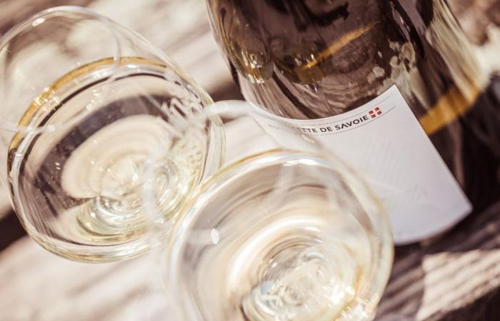 Japon, USA, Scandinavie… Comment les vins de Savoie ont réussi à conquérir le marché mondial