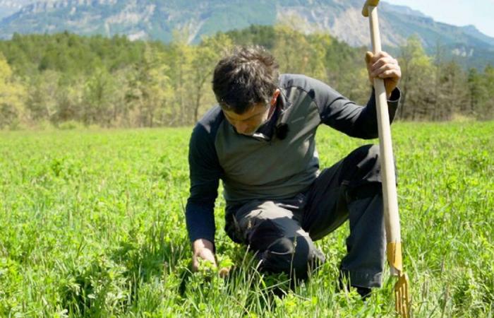 un film diffusé à Ordan-Larroque y revient