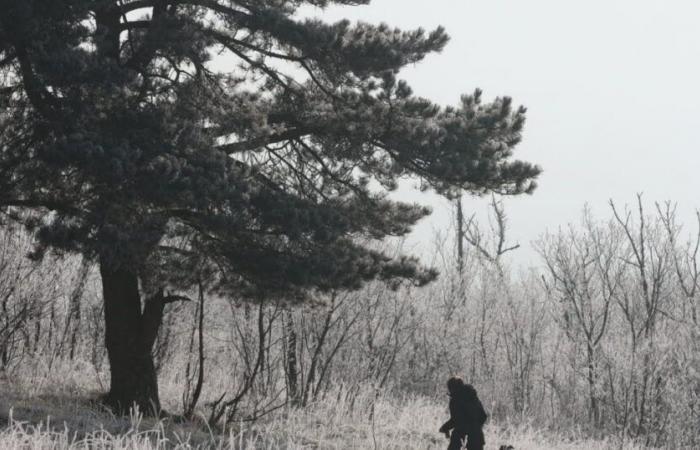 le matin le plus froid de l’hiver dans la plaine