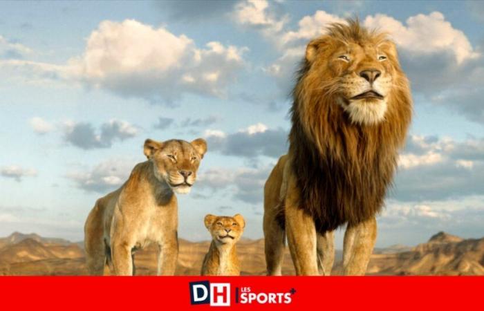 Le Roi Lion rugira trois fois