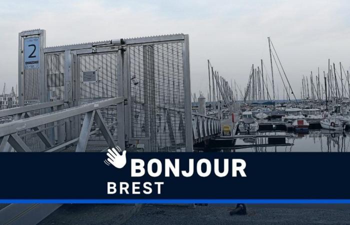 Mort suspecte au port, cambriolage et régime numérique : Bonjour Brest !