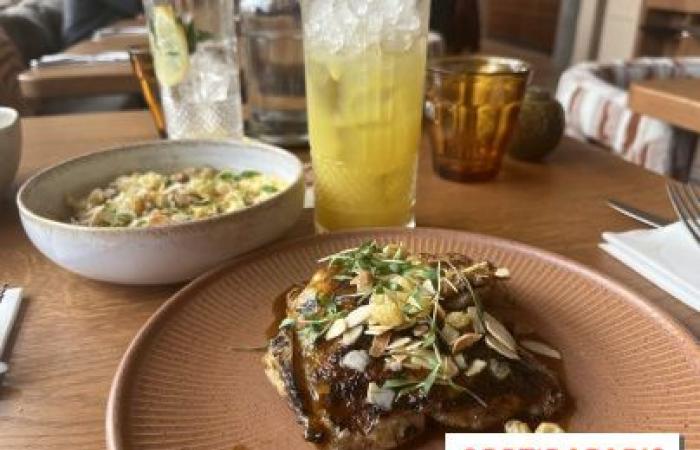 Meïda, la brasserie aux influences méditerranéennes du chef Mohamed Cheikh, à Saint-Ouen