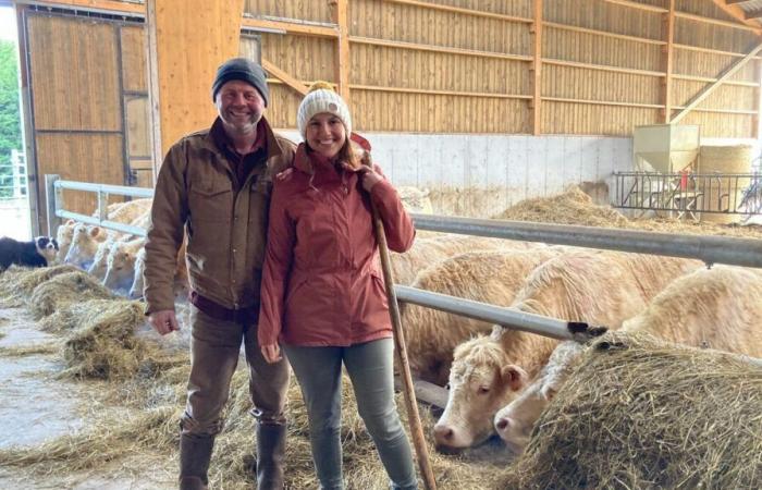 Vente directe, pension de chevaux… Dans le Val-d’Oise, cette famille d’éleveurs innove pour survivre