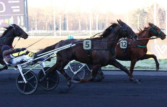 Chestnut ouvre son comptoir en France