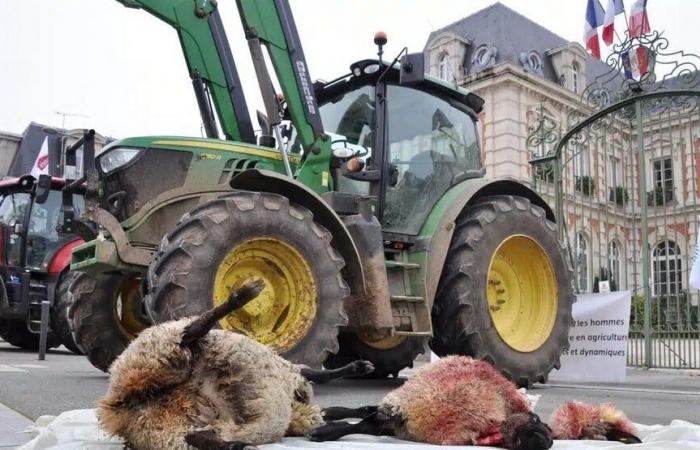 Le monde agricole se mobilise contre le loup