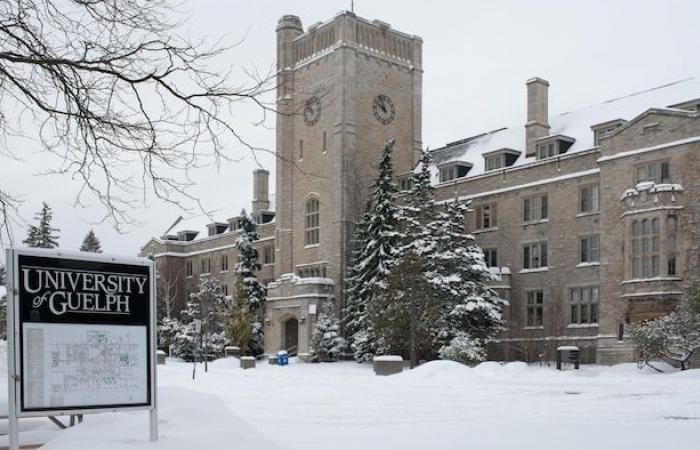 Au moins 234 cas de gastro-entérite à l’Université de Guelph