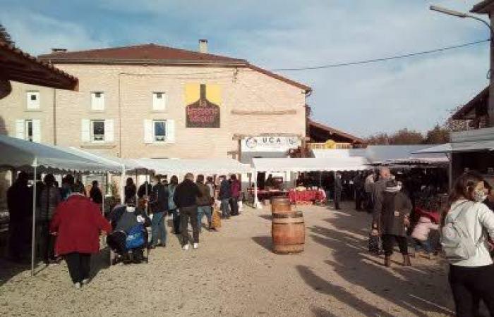 Farmer’s market in Dieue sur Meuse