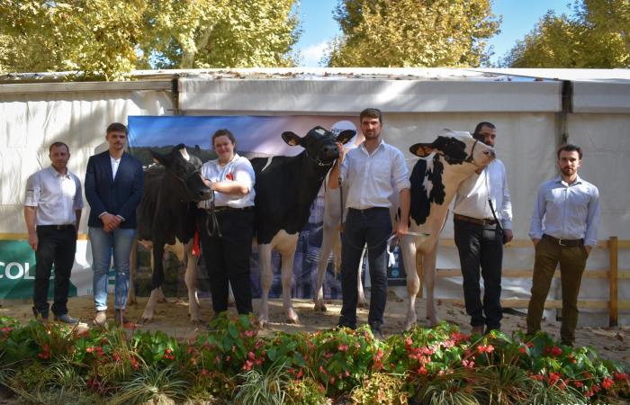 Lauréats du concours départemental Dordogne 2024