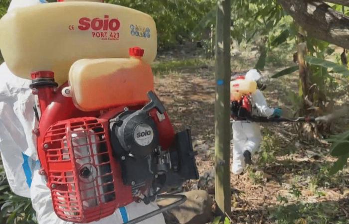 le préfet sur le terrain à Étang-Salé