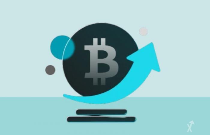 Misez sur BGBTC pour obtenir des récompenses