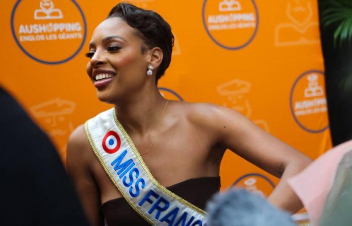 Face à la polémique « Charlie », le comité Miss France « s’inquiète » pour la sécurité d’Angélique Angarni-Filopon