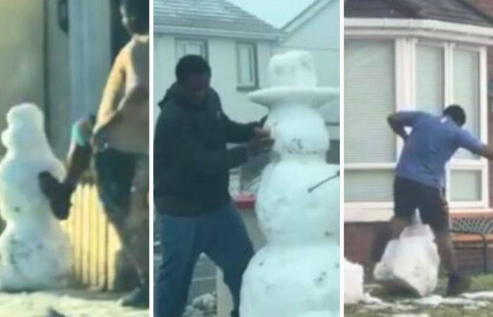 Un tueur de bonhommes de neige sévit dans une ville irlandaise