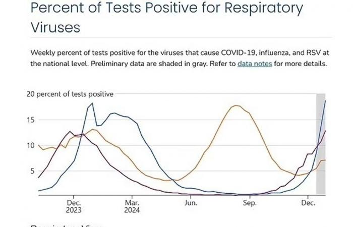 Dans les premières semaines de 2025, une vague de virus respiratoires infecte des millions de personnes dans le monde