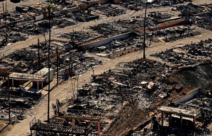 DIRECT. Incendies à Los Angeles : des vents violents menacent à nouveau, le déjeuner des nominés aux Oscars annulé