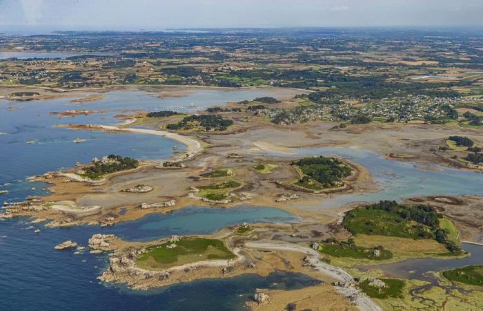 Cette résidente du bord de mer ne pourra certainement pas diviser son terrain pour construire de nouvelles maisons