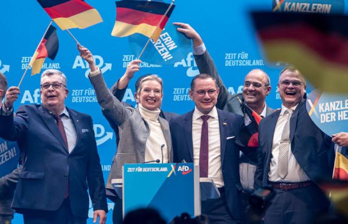 L’AfD au plus haut des sondages : Weidel peut-il encore rattraper Merz ?