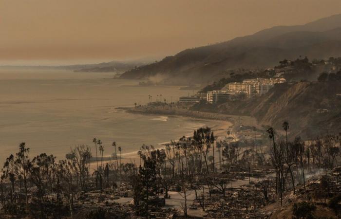 Incendies en Californie | Incendies à Los Angeles : « Peut-être que demain je n’aurai plus de maison » — 98,5 Montréal