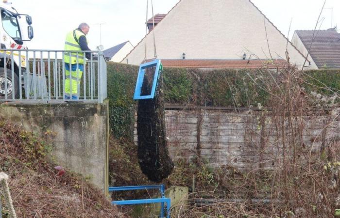 “La rivière ramasse tout ce que les habitants jettent” : des filets antipollution pour protéger l’Oise