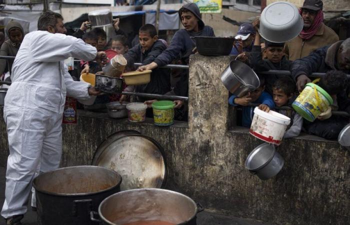 Les lauréats du prix Nobel appellent à une action urgente face à la crise alimentaire