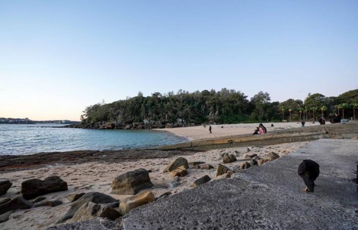 De mystérieuses boules grises provoquent la fermeture de neuf plages