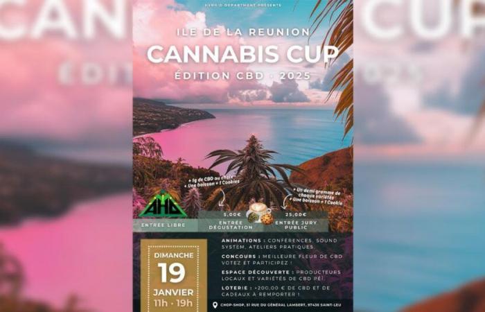 L’édition Cannabis Cup CBD 2025 s’ouvre le 19 janvier